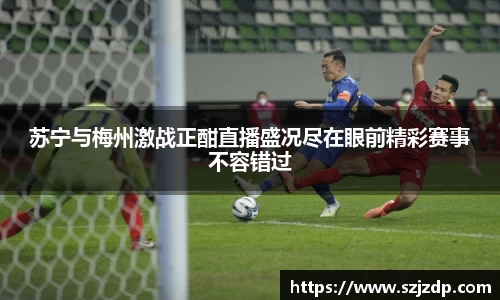 星空·综合体育中国官网